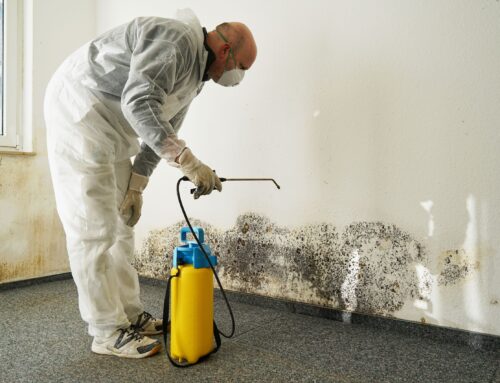 How Long Does Mold Remediation Take? Understanding the Process