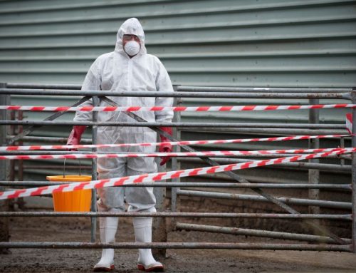 Why You Should Leave Biohazard Cleanup to Certified Professionals