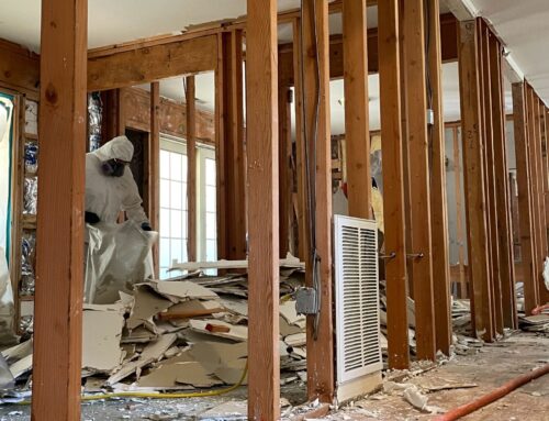 Why Early Lead & Asbestos Abatement Can Save You Thousands in Repairs