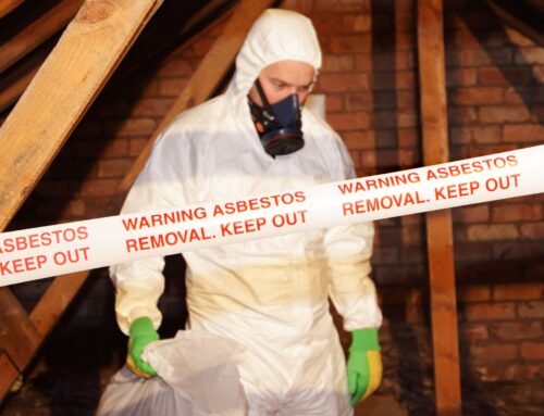 What to Expect During Professional Asbestos Abatement