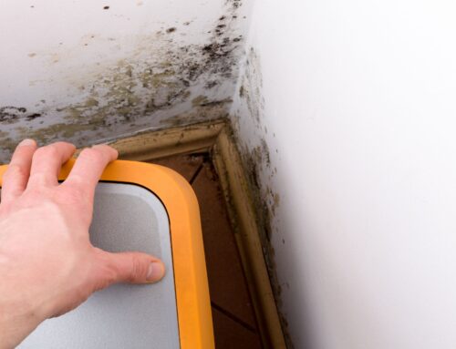 Does Winter Make Mold Problems Worse in Reno, NV?